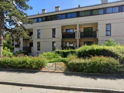 Coupe & Couture - Upcycled Fashion in Geneva