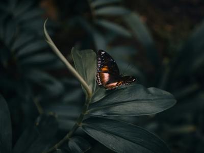 Wunderhülle by Alexandra Hürbin - Upcycled Fashion in Nidwalden