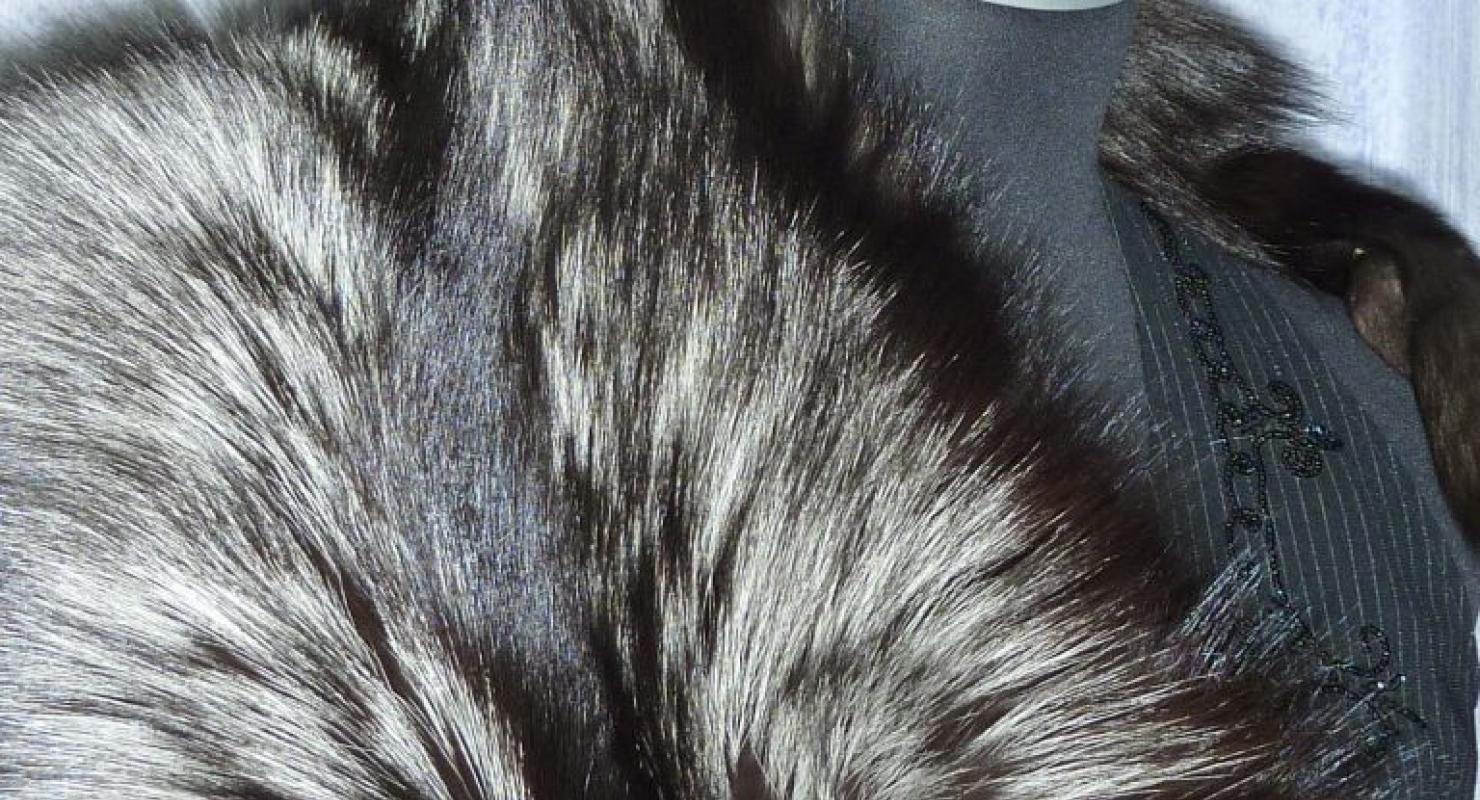 Ma fourrure - Mode upcyclée in Valais