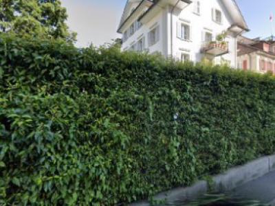 D'S Damat - Second-Hand-Kleidung in Luzern