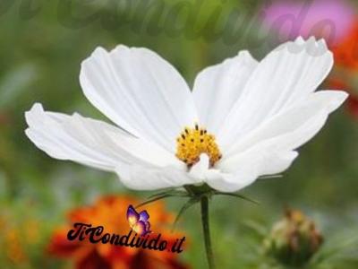 Sartoria Donna Lab - Upcycled Fashion in Ticino