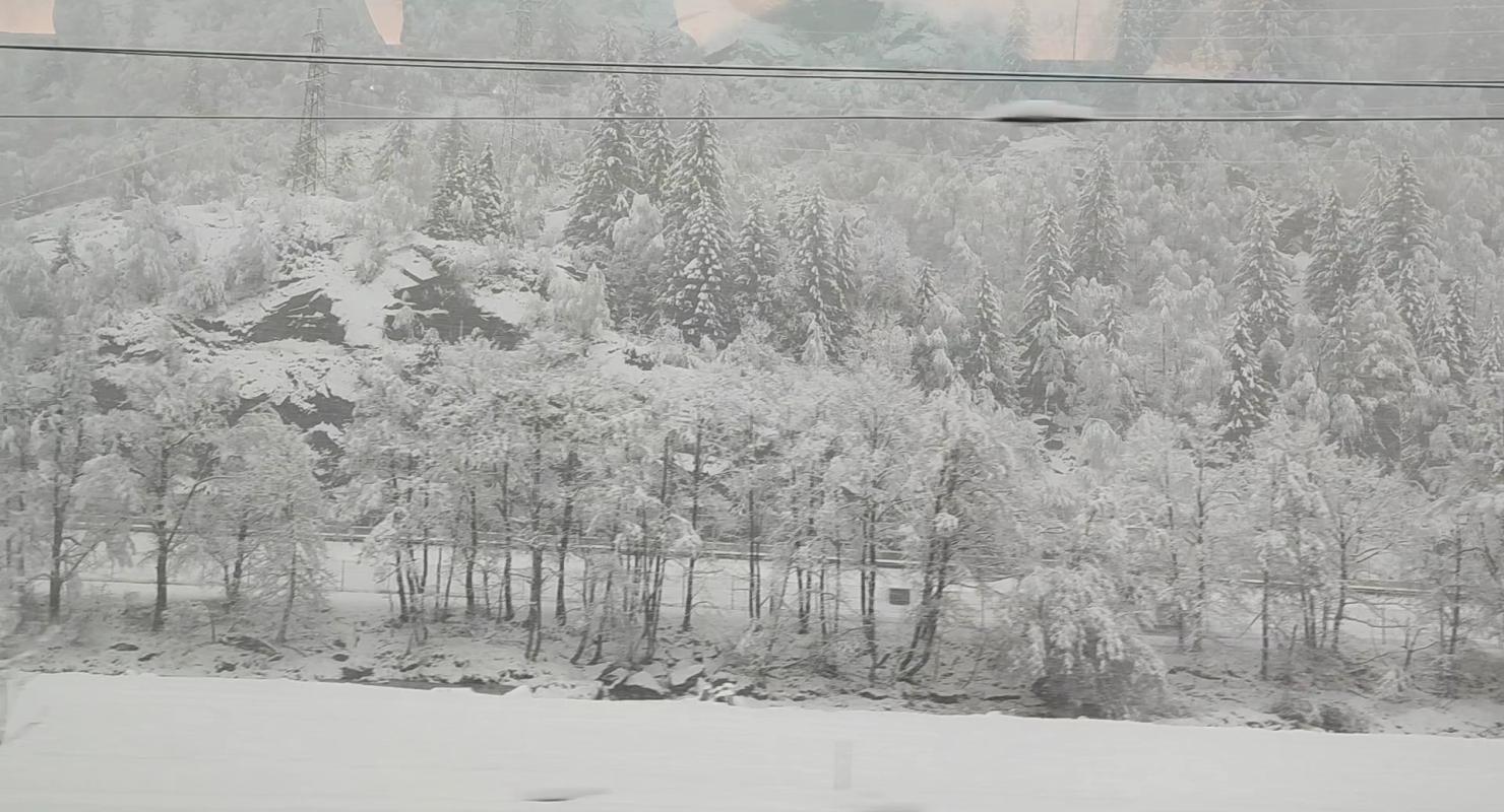 Sartoria Tatiana - Upcycled Fashion in Ticino