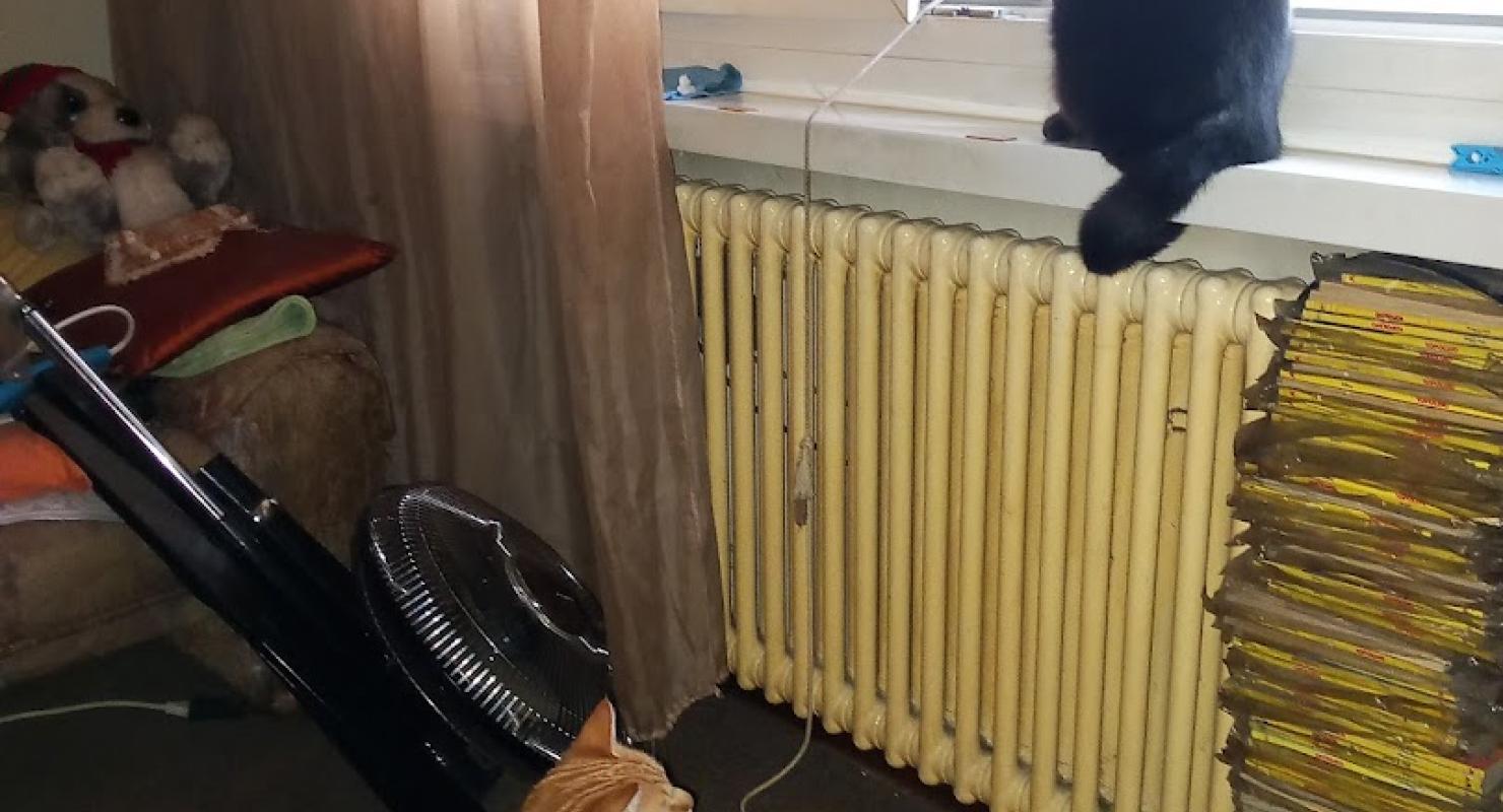 Via vela 47 - Moda upcycled in Ticino