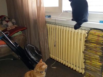 Via vela 47 - Upcycled Fashion in Ticino