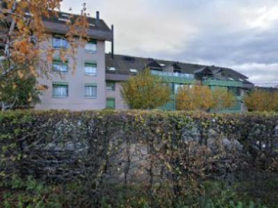 FurEver Fantasy Studio - Upcycled Fashion in Vaud