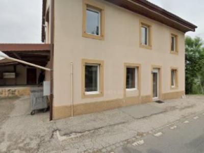 Alpha Clothing - Upcycled Fashion in Vaud