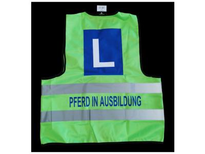 Buckexpress - Repair & Alteration in Aargau