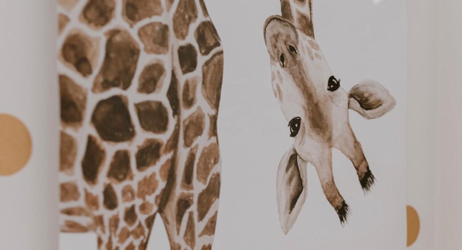 Grabease Schweiz (Kuschelstars by C. Trotta) - Second-hand Clothing in Aargau