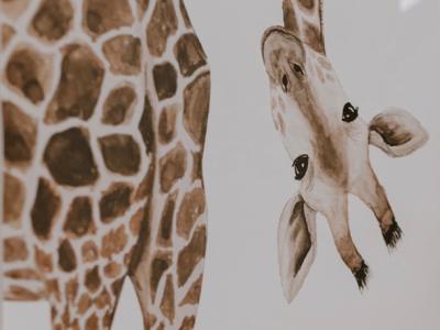 Grabease Schweiz (Kuschelstars by C. Trotta) - Second-hand Clothing in Aargau