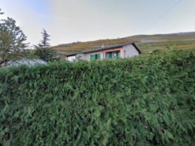 Mrs. Sylvie Riedo Tailleur - Upcycling-Mode in Waadt