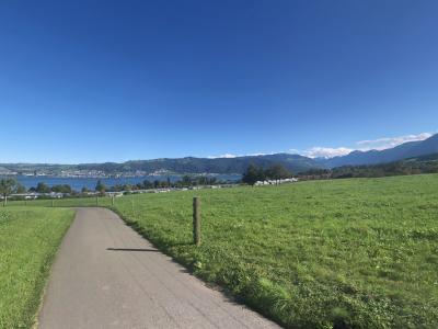 Schneider-Atelier - Upcycled Fashion in Zug