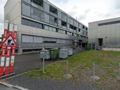 Cowboy Collective by Mara Macale - Upcycled Fashion in Zug