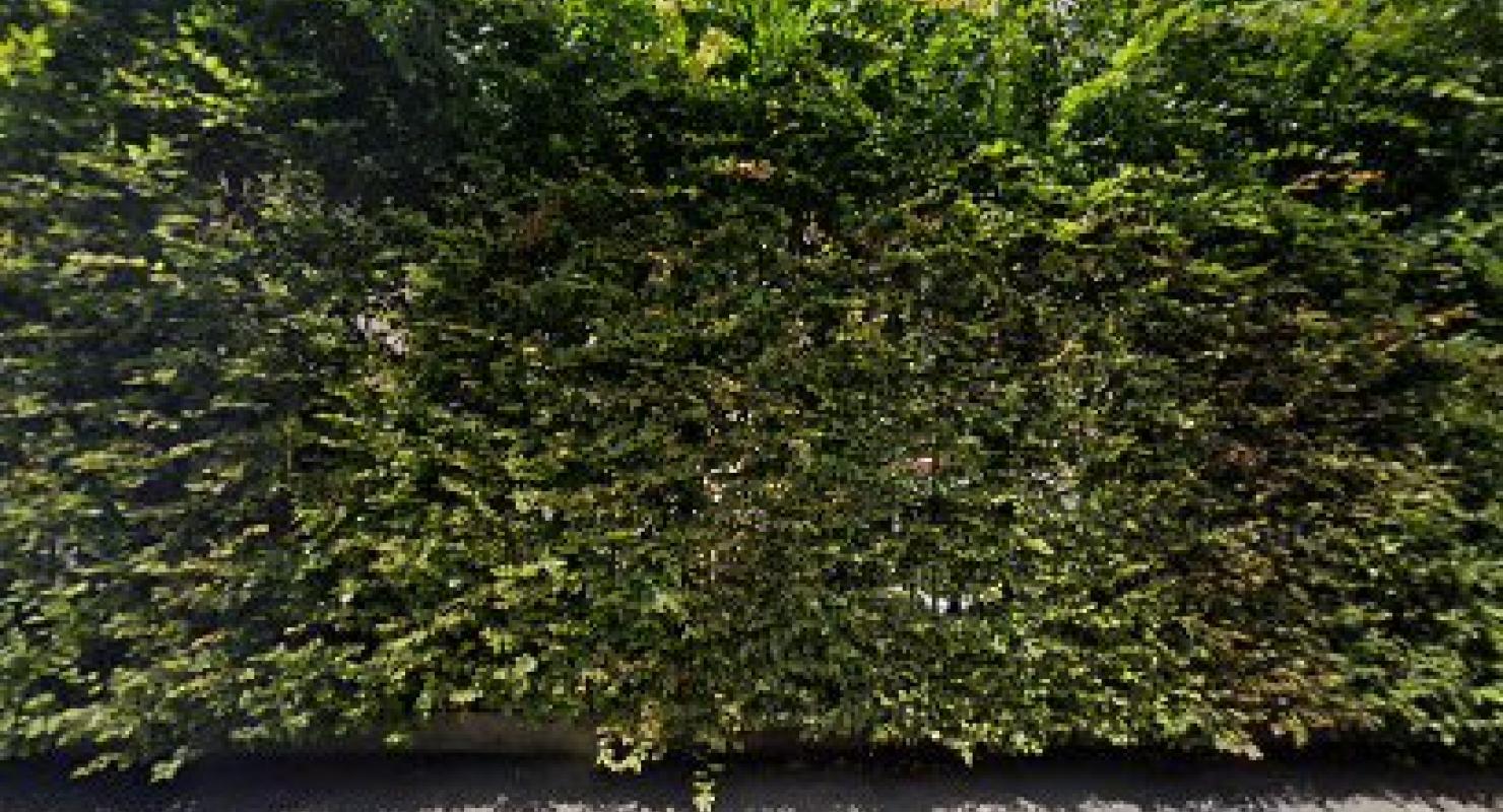 Amatucci Yolanda - Upcycling-Mode in Bern