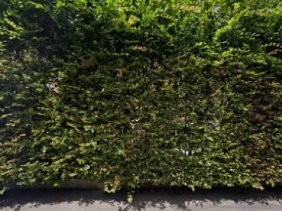 Amatucci Yolanda - Upcycled Fashion in Bern