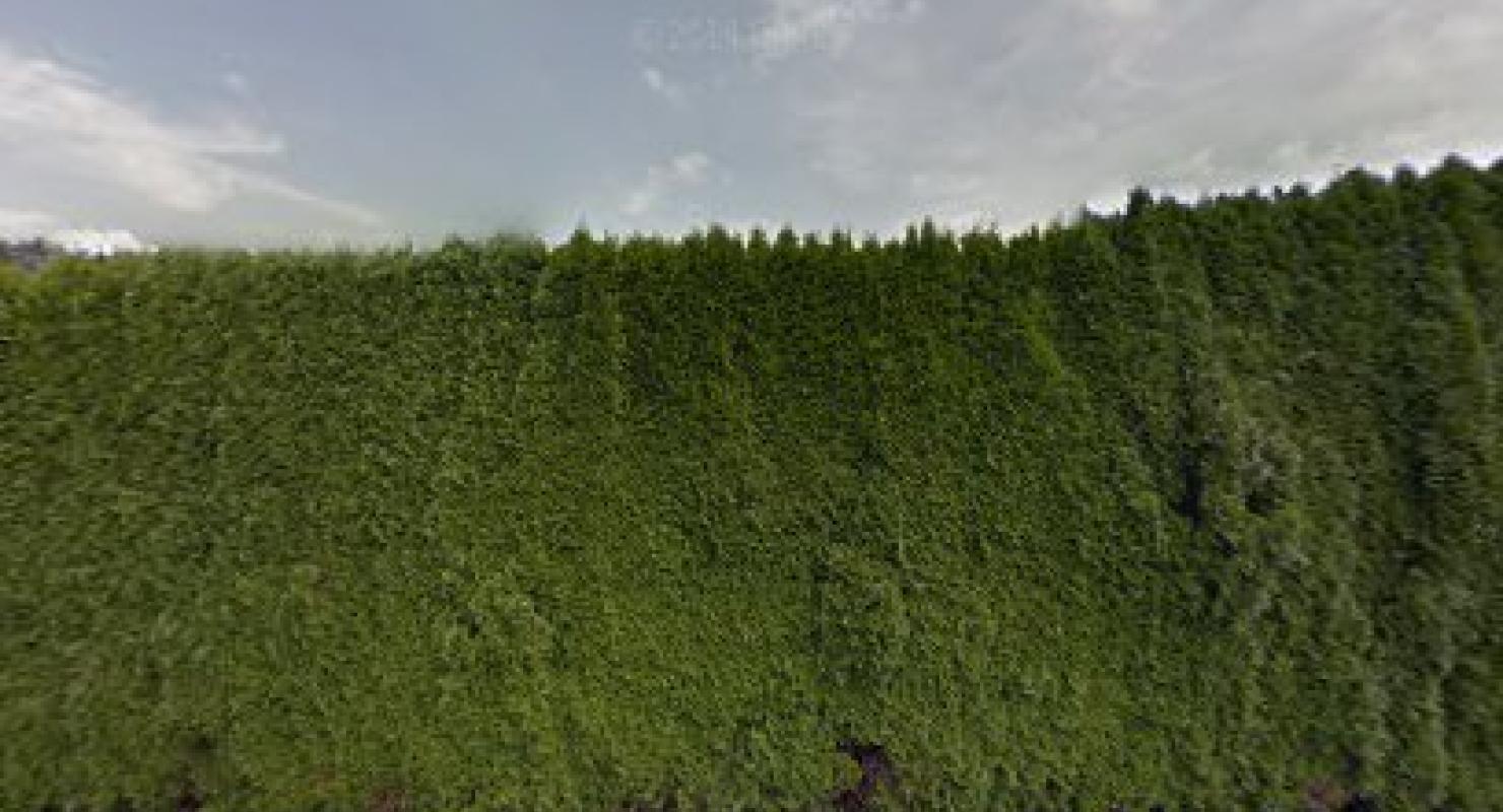 ApoMade Designs - Upcycled Fashion in Bern