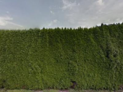 ApoMade Designs - Upcycled Fashion in Bern