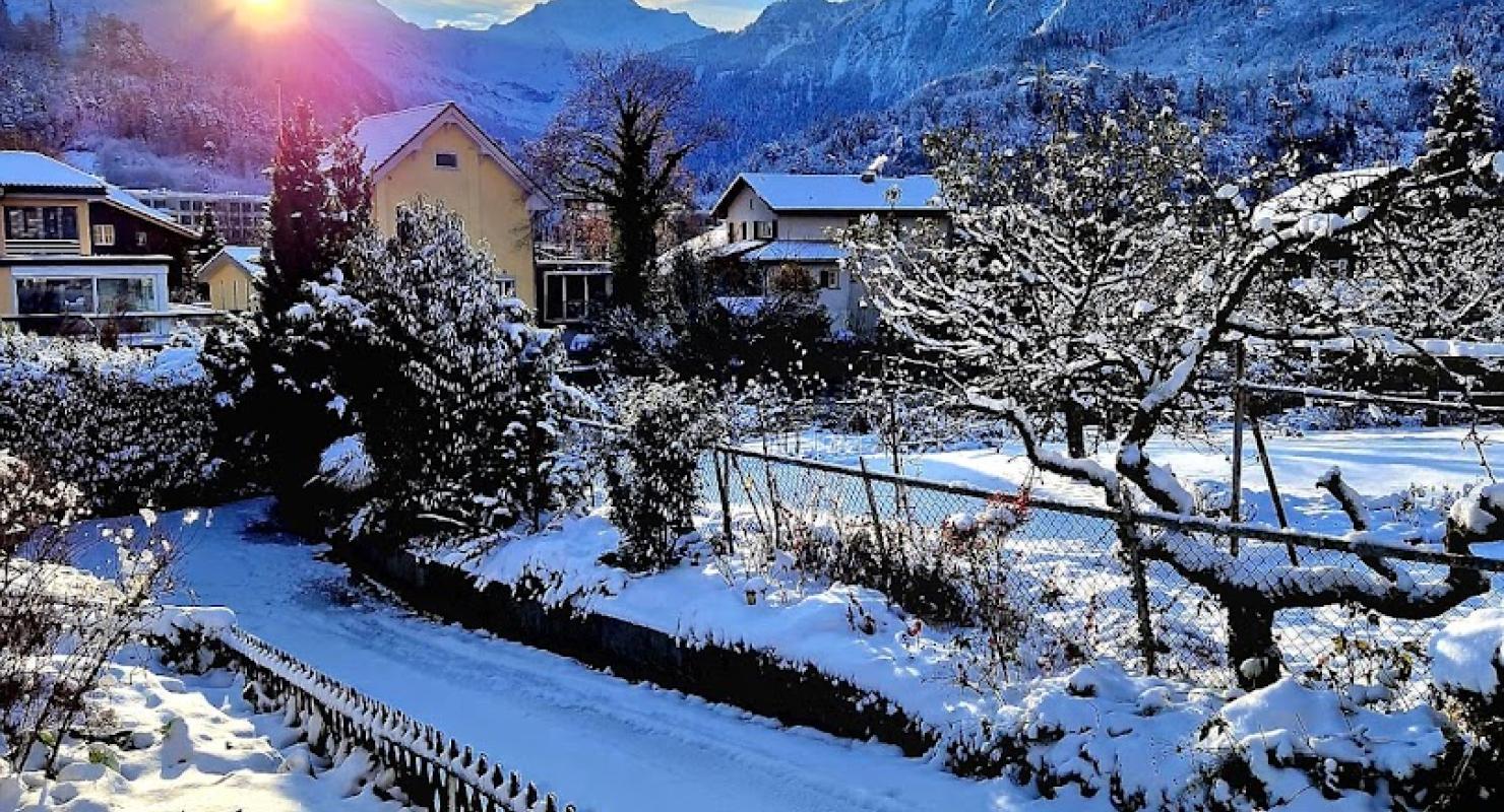 OctopusBabyClub - Second-hand Clothing in Bern