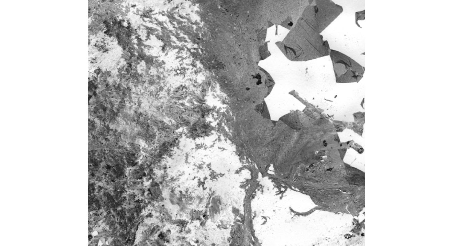 royl - Upcycled Fashion in Bern