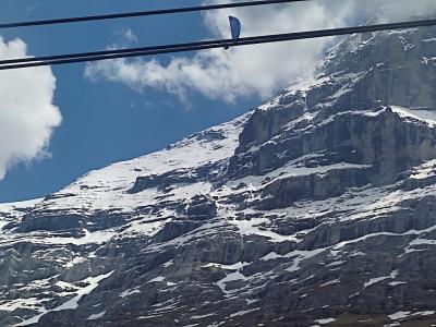 Wilde Wikinger-Kleidung - Repair & Alteration in Bern