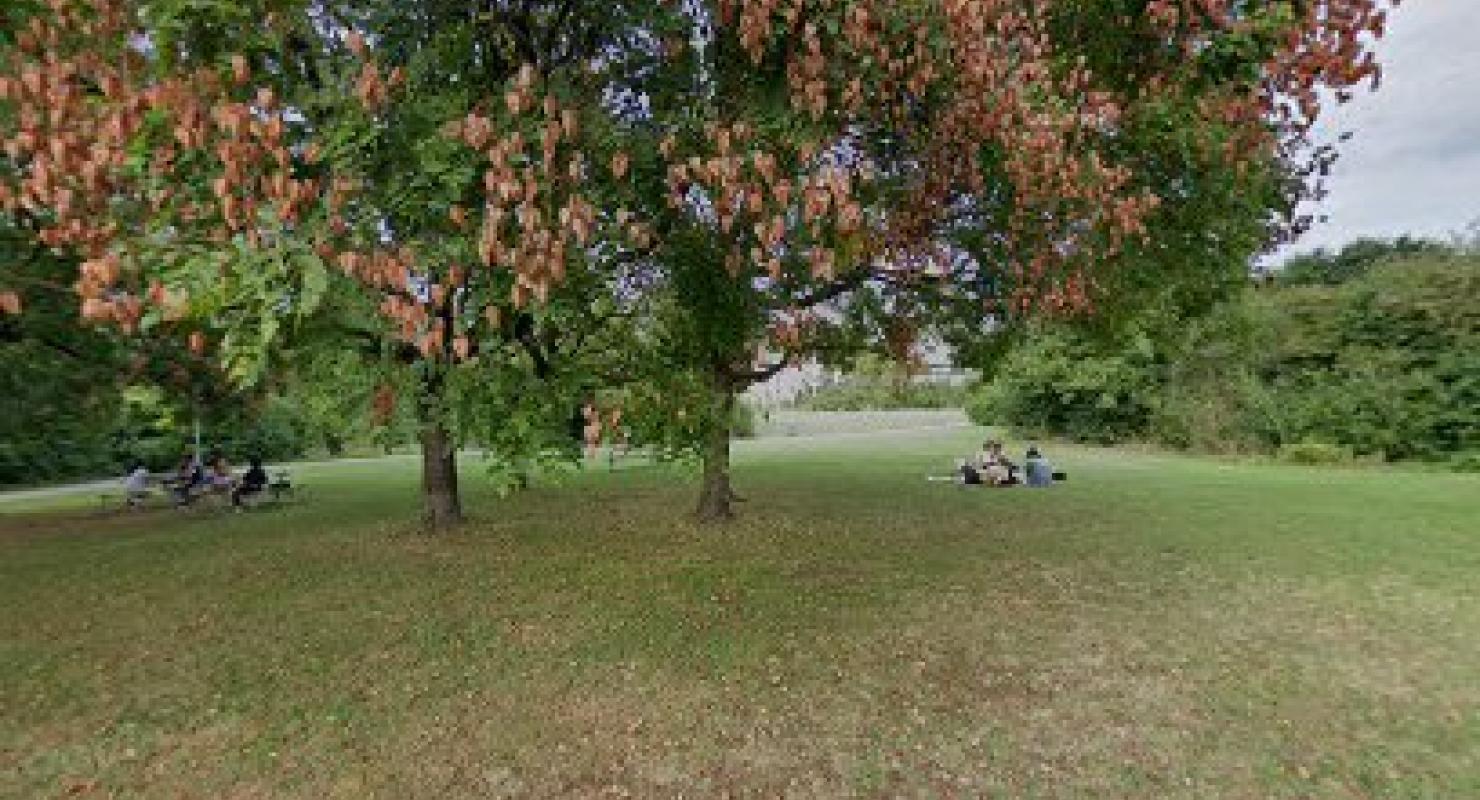 Wipkingen - Upcycled Fashion in Zurich