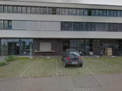 Dobermen - Upcycling-Mode in Zürich