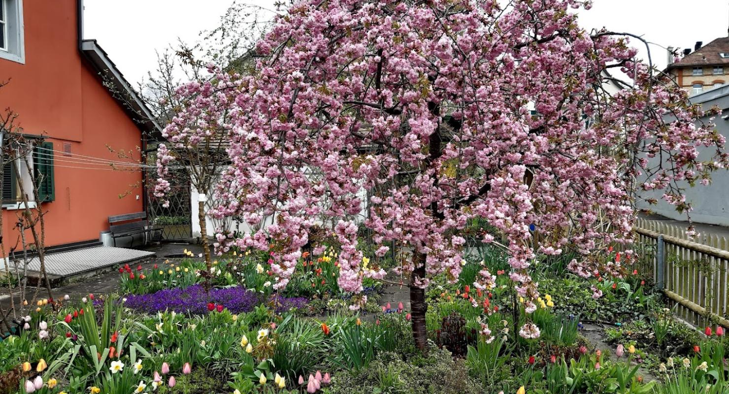 Unikum - Second-hand Clothing in Zurich