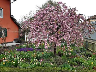 Unikum - Second-hand Clothing in Zurich