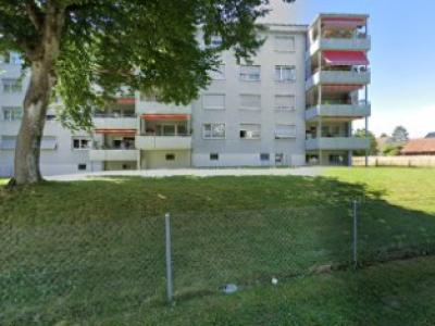 Giaquinto & Co. - Upcycling-Mode in Zürich