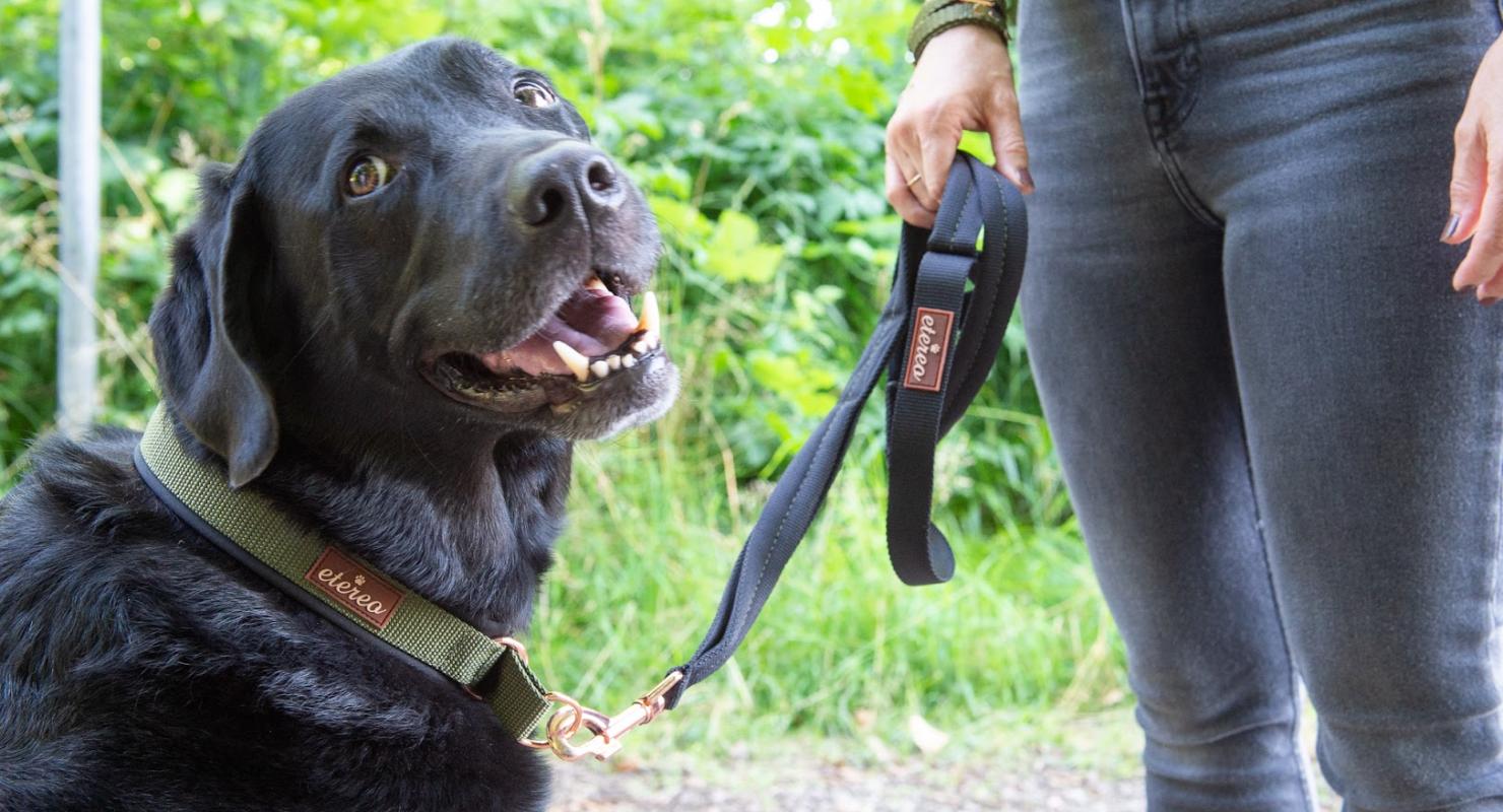 etereo - Upcycled Fashion in Zurich