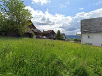 Schneiderei Couture Bea - Upcycled Fashion in Zurich