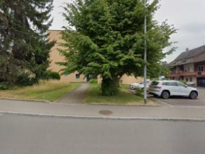 Mrs. Erna Suter Tailleur - Moda upcycled a Zurigo