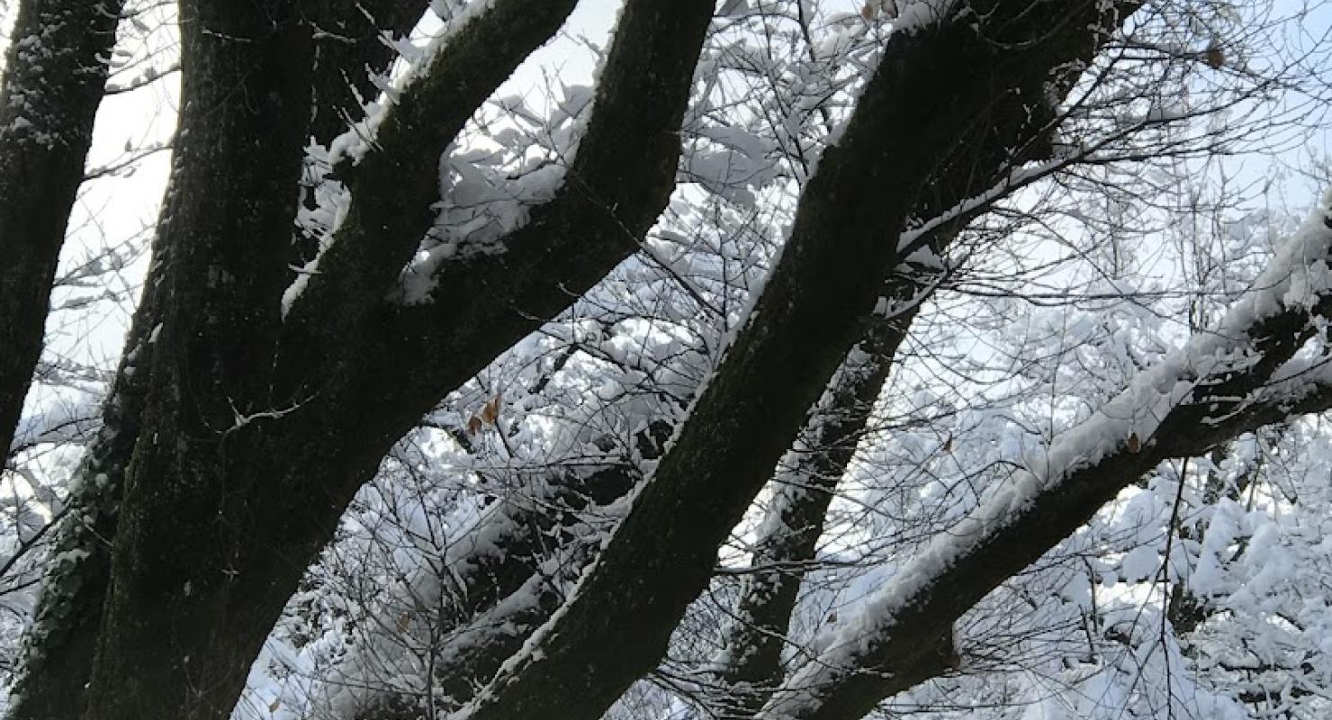 Brockenstube Stauffacherinnenbund - Second-Hand-Kleidung in Zürich
