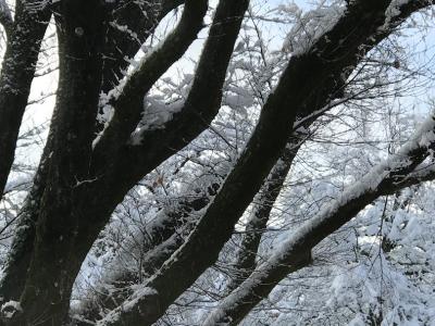 Brockenstube Stauffacherinnenbund - Second-Hand-Kleidung in Zürich