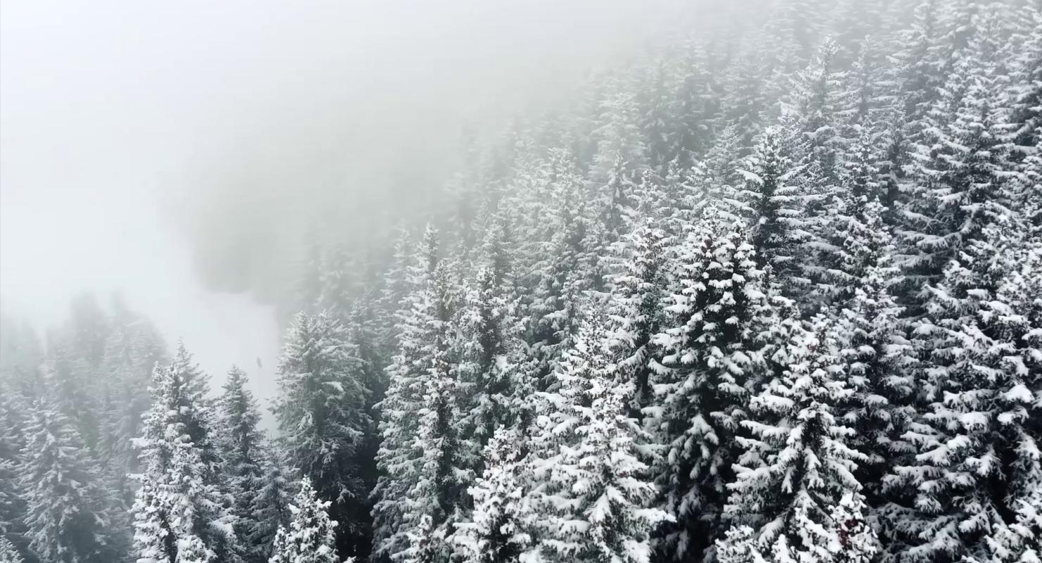 namuk GmbH - Second-hand Clothing in Zurich