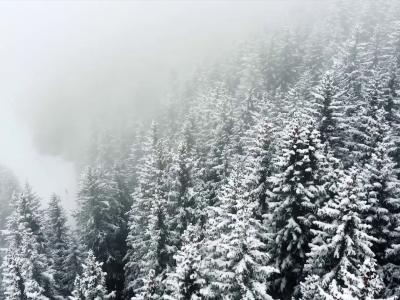 namuk GmbH - Second-hand Clothing in Zurich