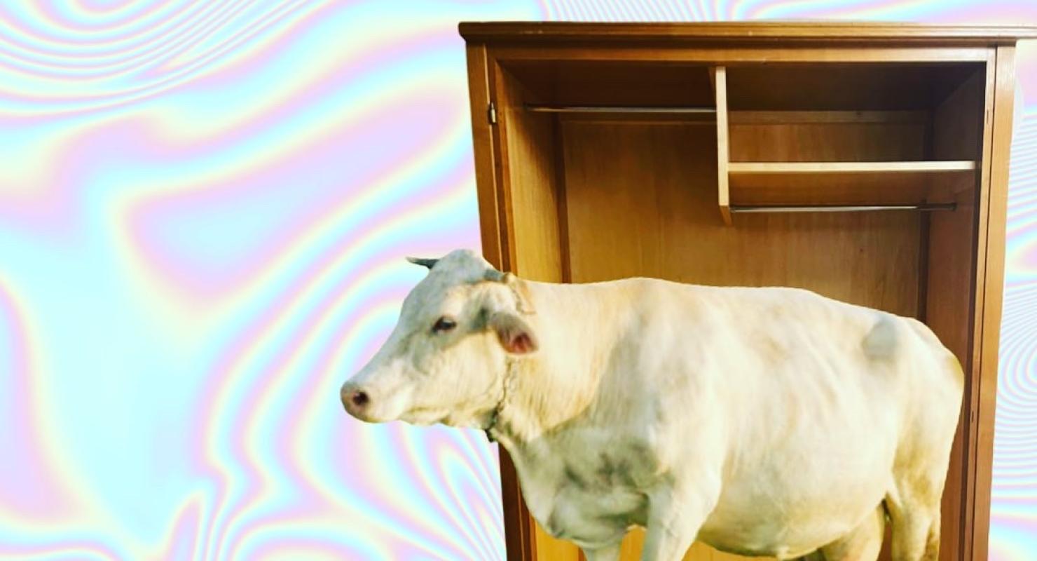 TANTE EMMA secondhand & mietmarkt LADEN - Second-hand Clothing in Aargau