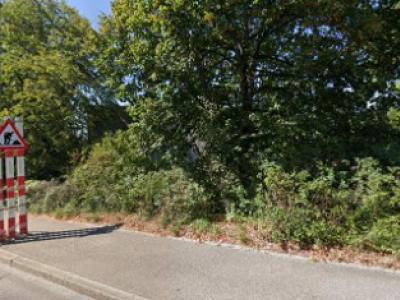 Gisin & Suzuki GmbH | HALU - Upcycled Fashion in Basel-Land