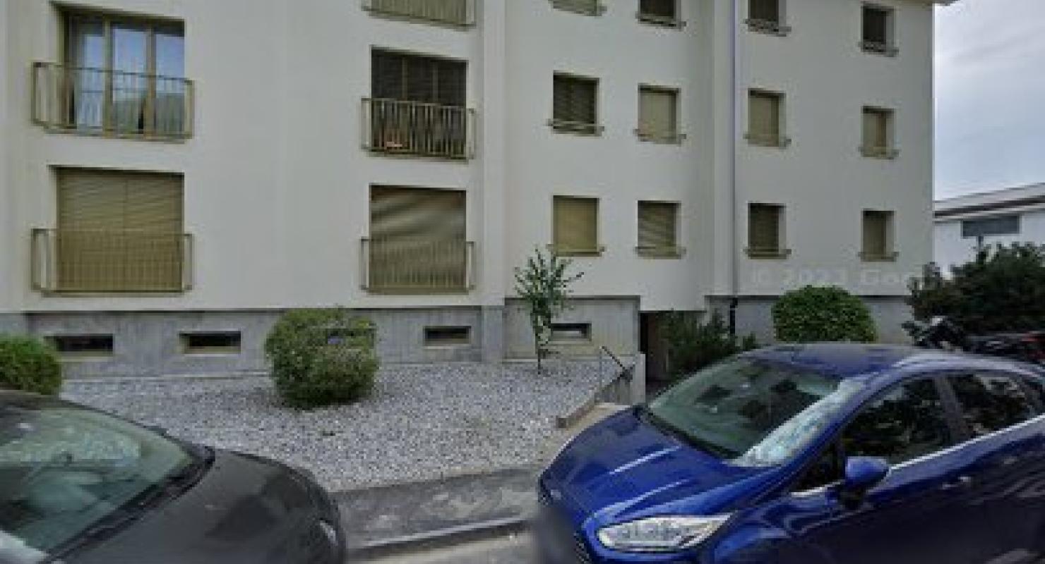 Bob&Barkley - Upcycling-Mode in Basel-Land