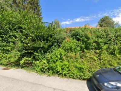 Homedecor - Upcycled Fashion in Fribourg